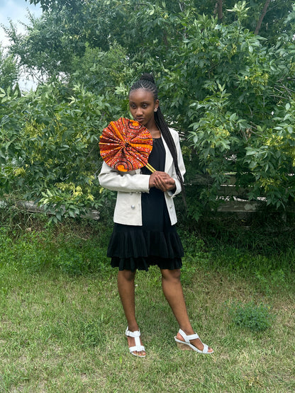 Vision Ankara Fan